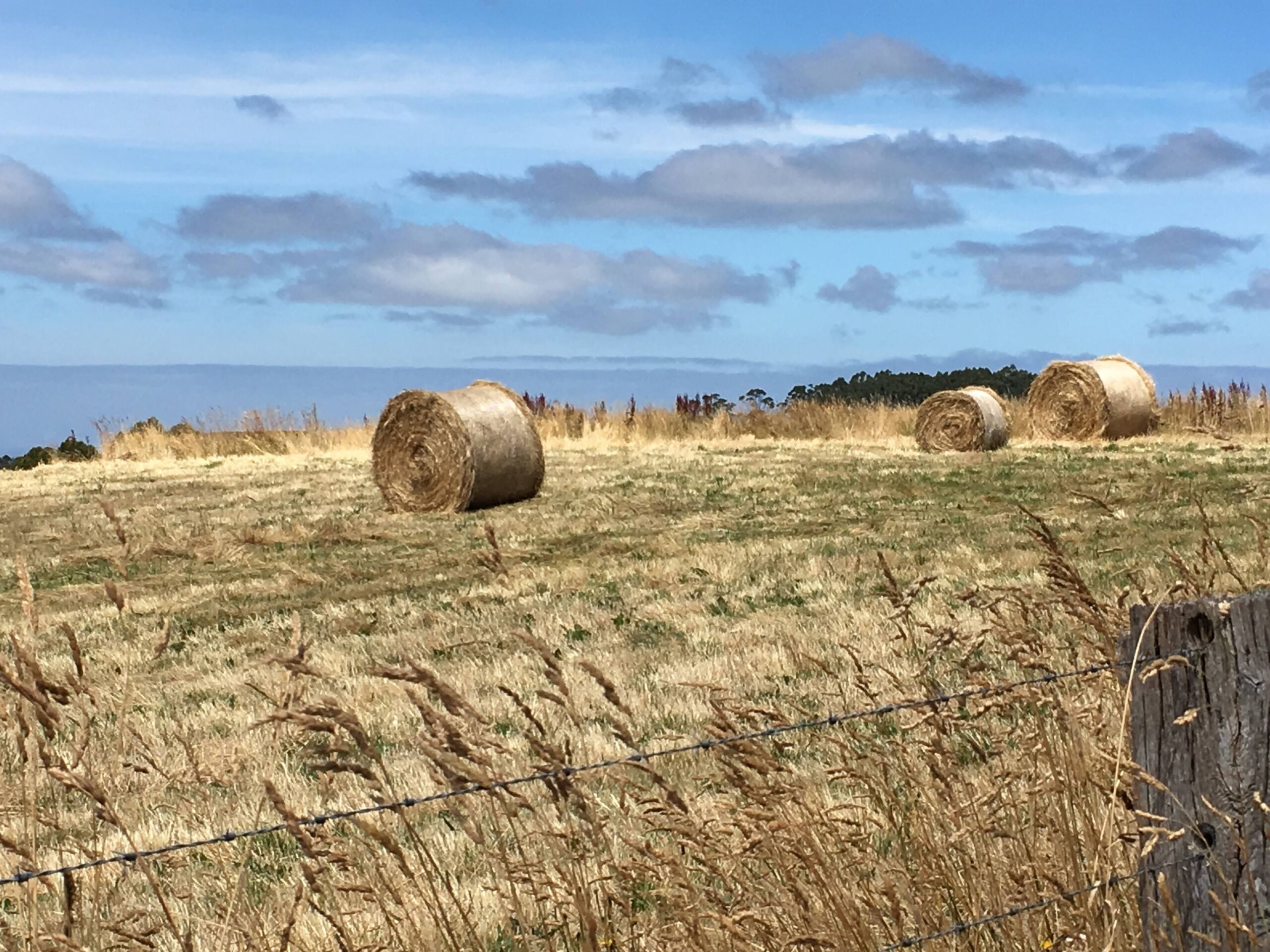 Globetrotter George sunset