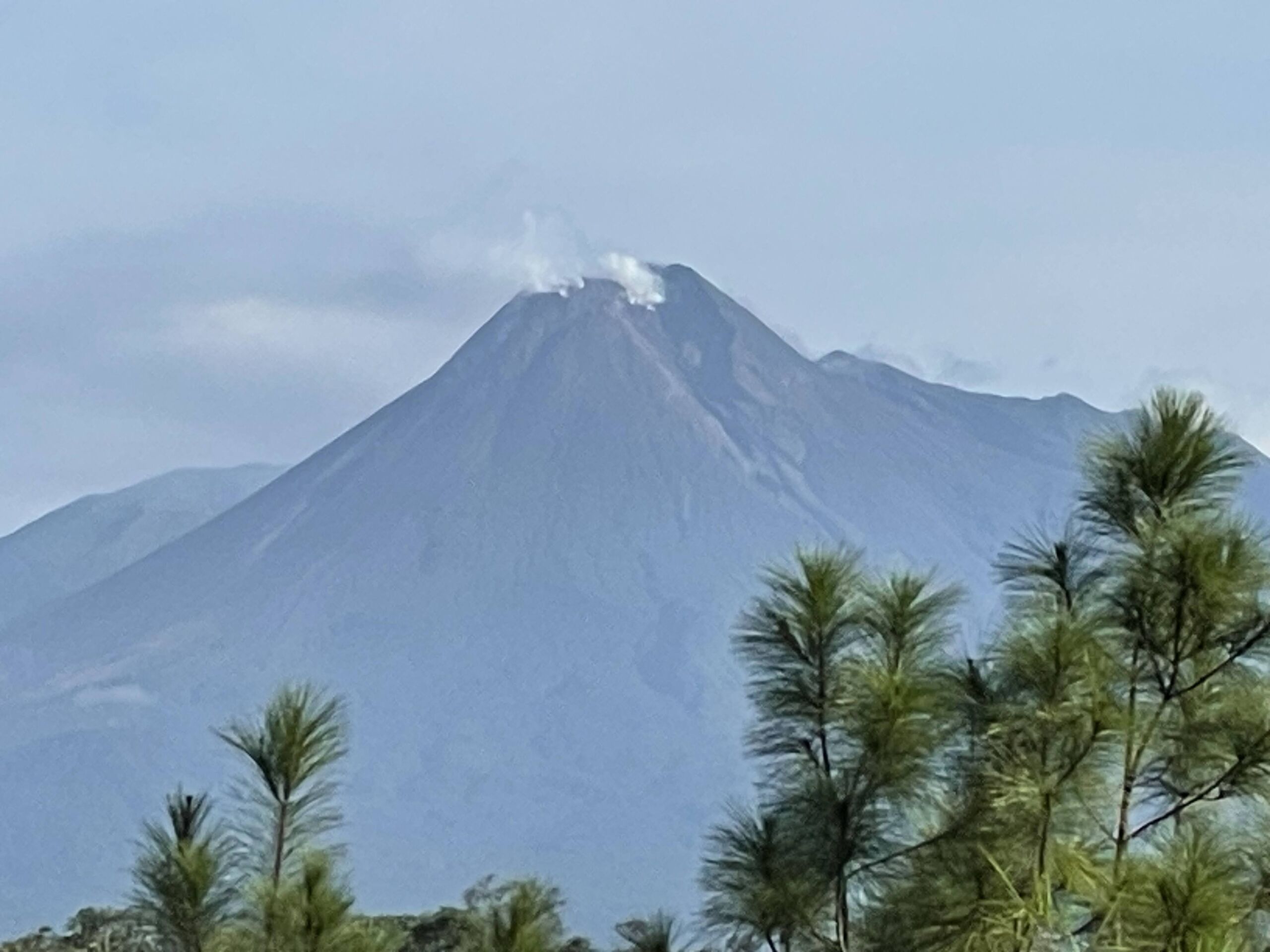 Globetrotter George travel moment